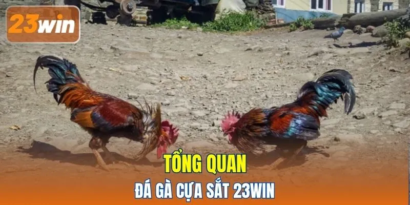 Tổng quan đá gà cựa sắt 23WIN